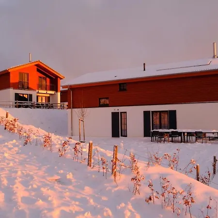 Villa Luxury With Sauna, With Area Only 200 M Winterberg