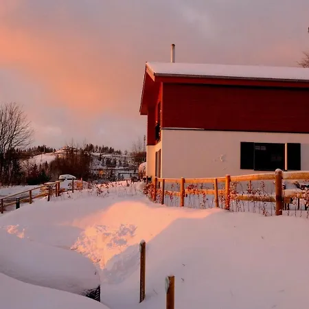 Luxury With Sauna, With Area Only 200 M * Winterberg